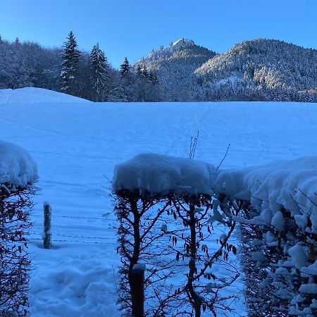 Appartement 2 Pieces Pieds Des Pistes Terrasse Face A La Montagne Bernex Exterior photo